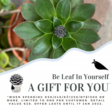 2022-01-04 Be Leaf in Yourself promo